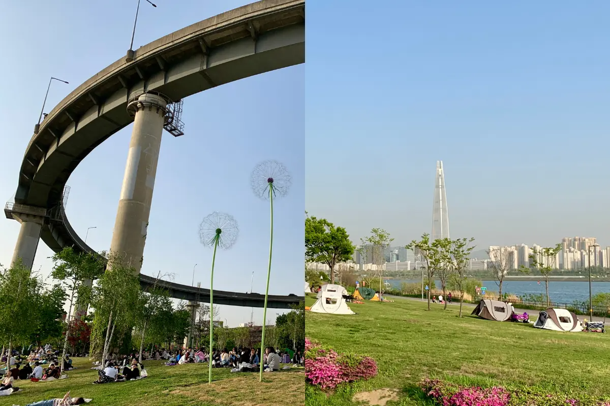 纛島漢江公園旁邊高聳的建築和露天的綠地。