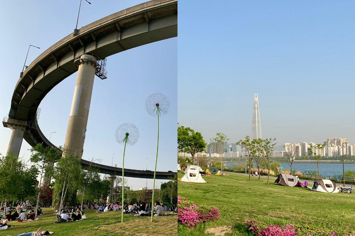 ソウル旅行、漢江、ハンガン、漢江チキン、漢江デリバリー、漢江出前、テントレンタル、漢江ピクニック、汝矣島、盤浦漢江公園、ヨイド、バンポ