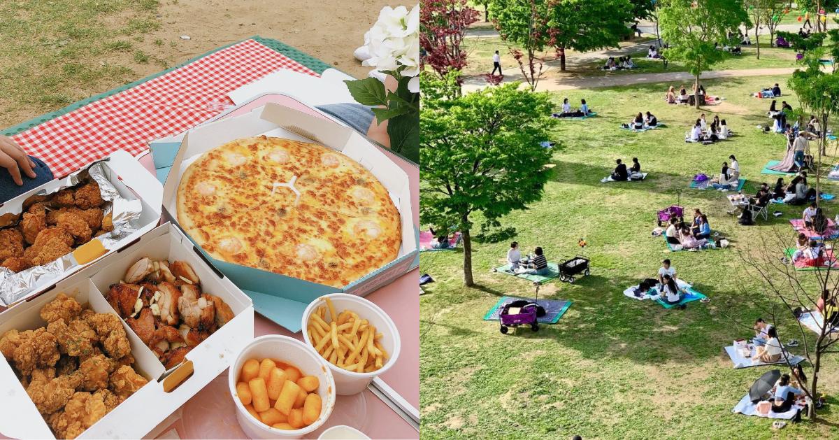 A Complete Guide to Han River Park: Picnics, Locations, Delivery & more