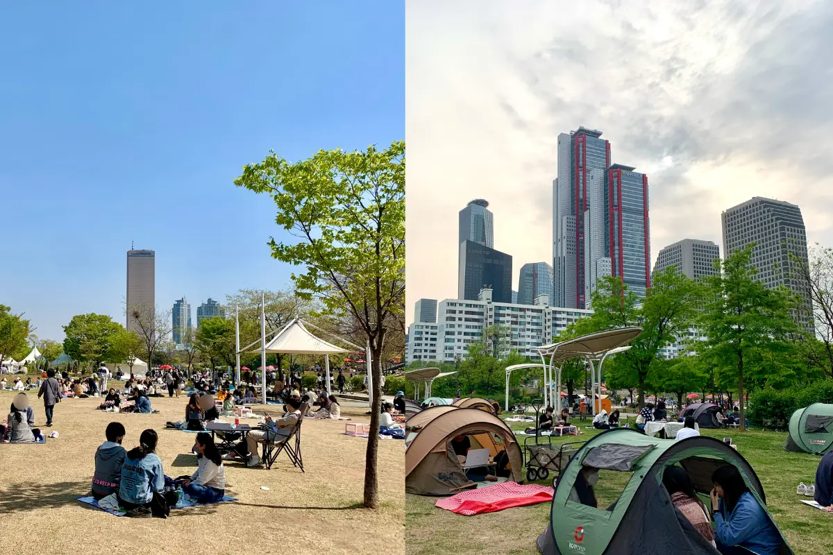 汝矣島漢江公園，草地上坐滿了前來野餐的群眾。