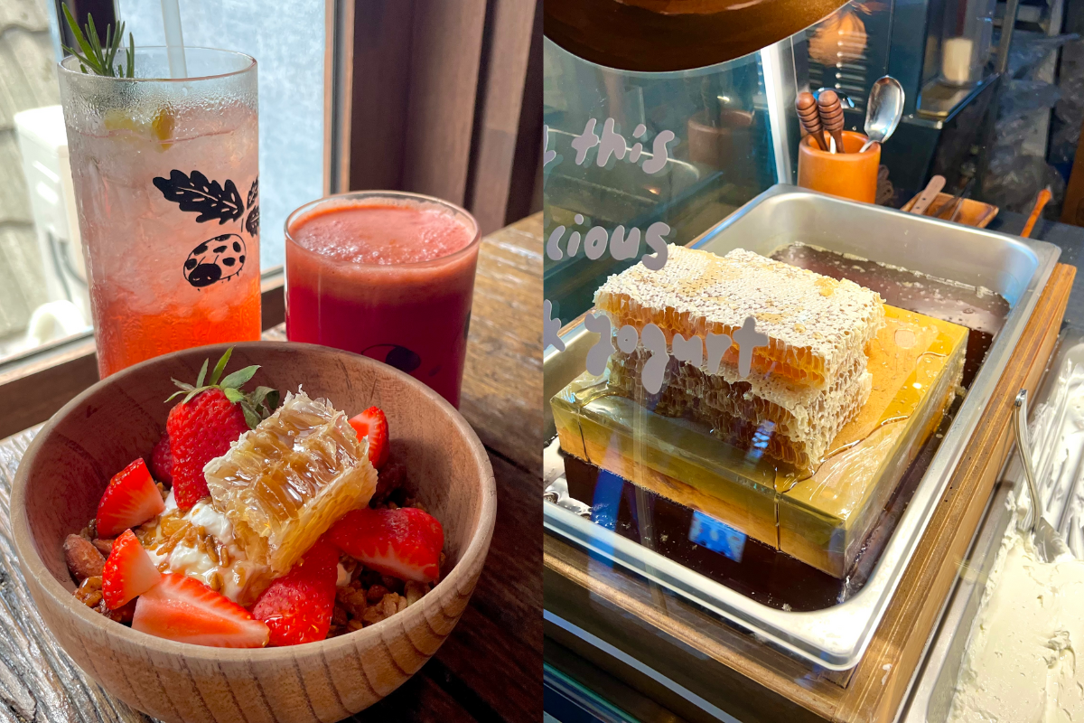 Hausgemachter griechischer Joghurt mit frischen Erdbeeren und einem Honigwabenstück im Dotori Café.