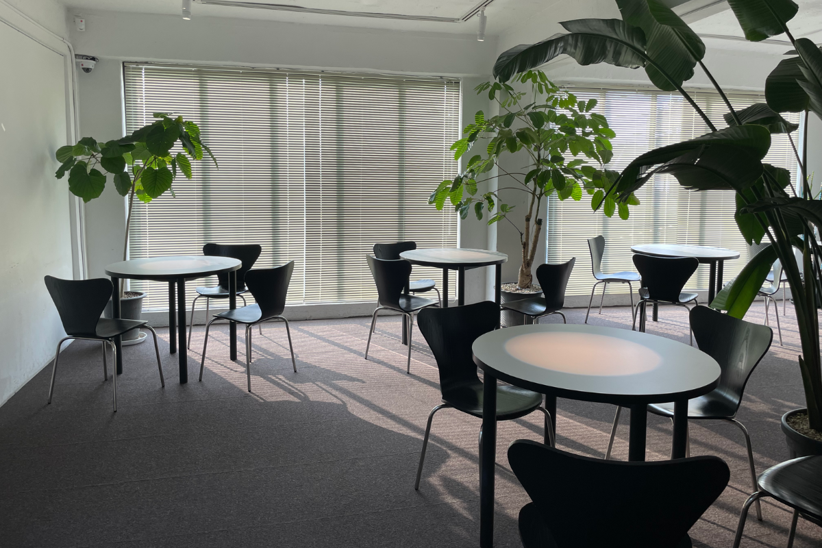 Eleganter Innenbereich des Café Oeat, minimalistisches Design mit Pflanzen-Akzenten.