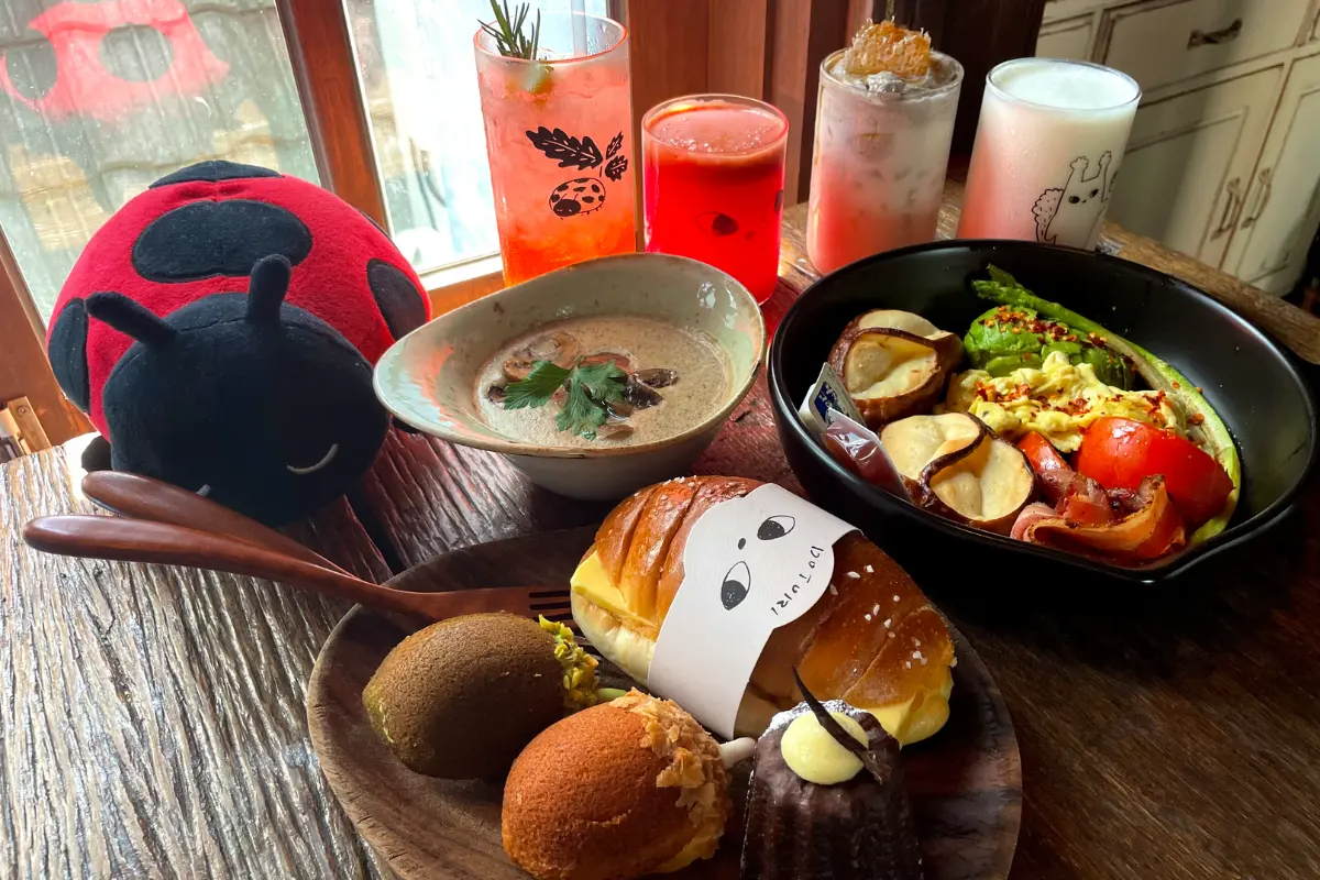 Vielseitiges Frühstücksgericht im Dotori Café mit frischen Tomaten, Avocado, Speck und Brot.