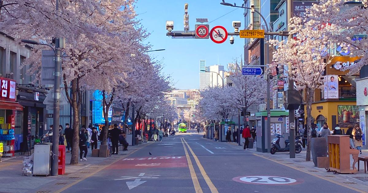 Menjelajahi Restoran di Sekitar Universitas Yonsei