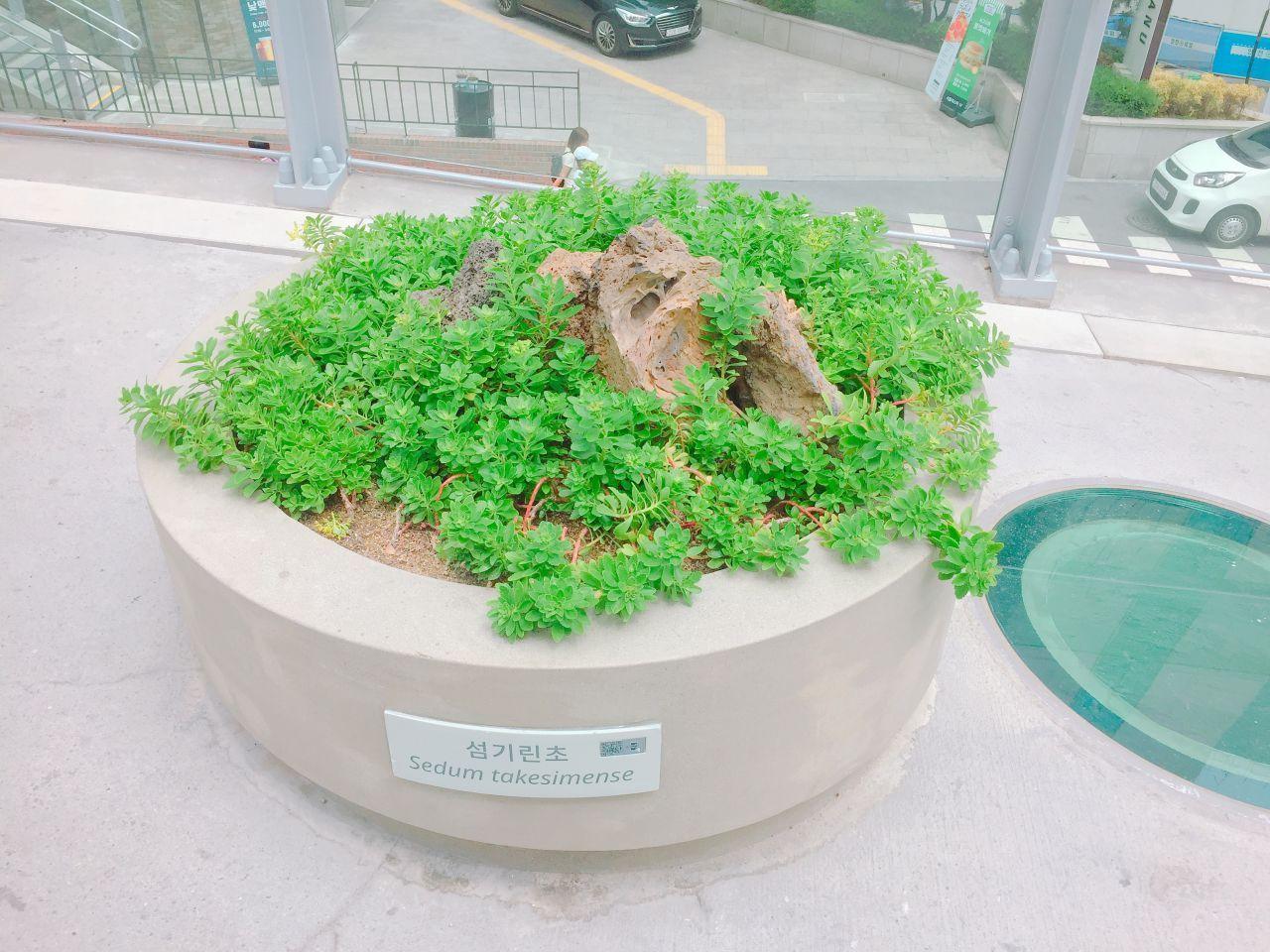 Modern buildings and circular benches enhance the urban charm of Seoullo 7017 in Seoul.