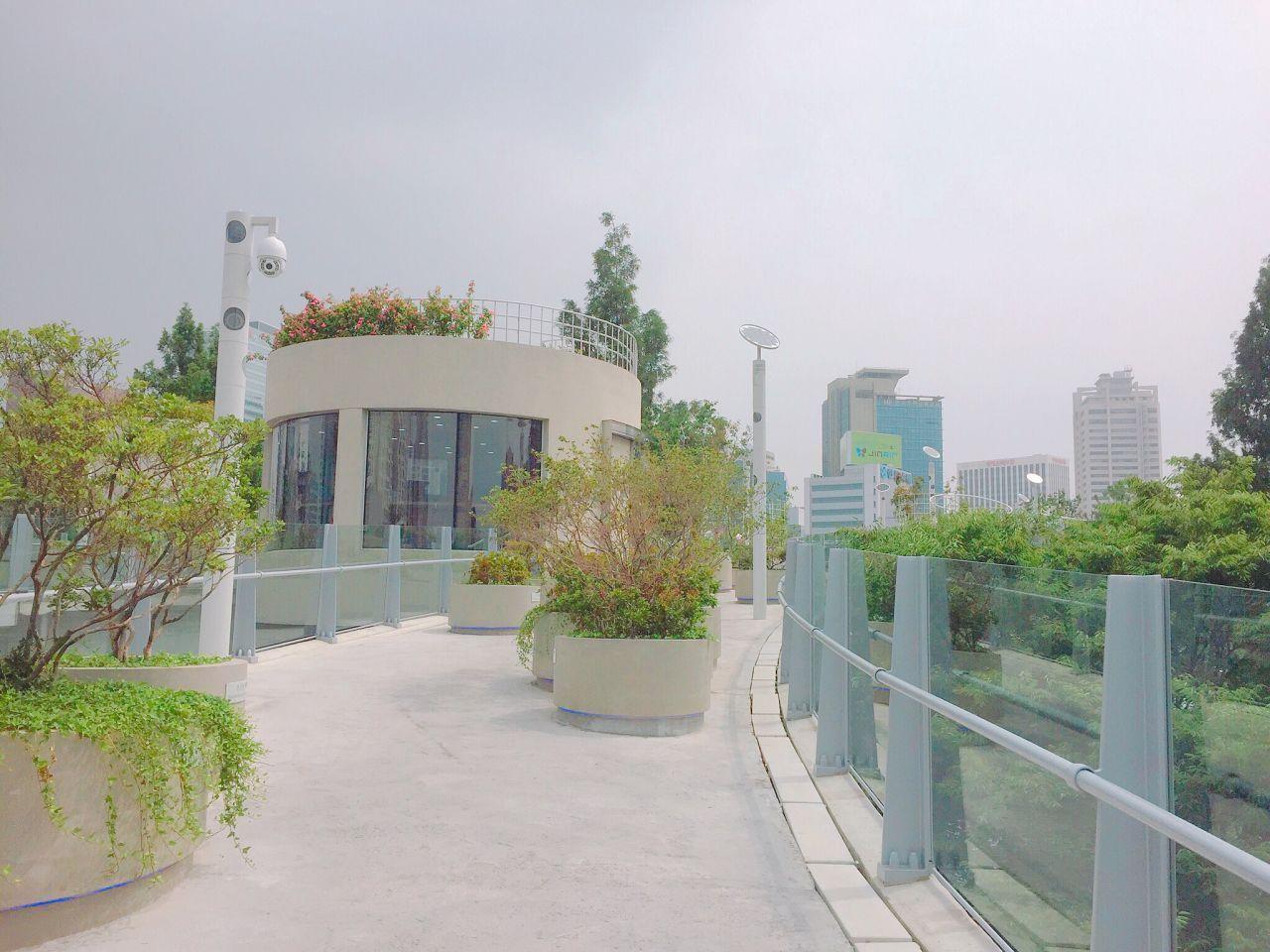 Circular planters with diverse plant life on Seoullo 7017, creating a relaxing and scenic walkway in Seoul.