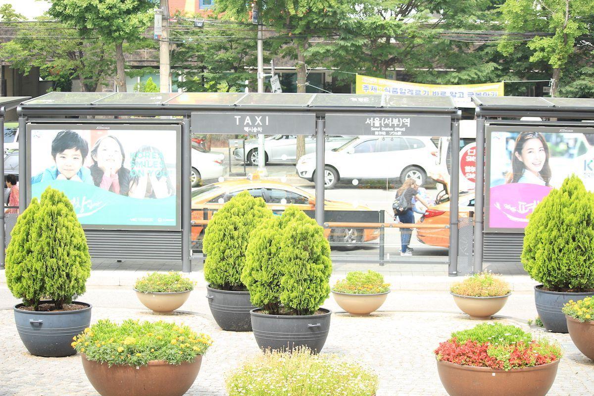Bus stop near Seoullo 7017, surrounded by potted plants and a glimpse of Seoul’s bustling street.