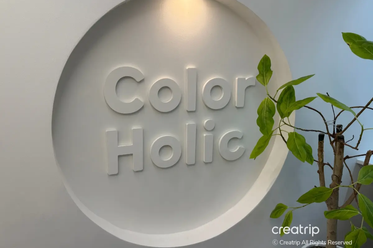 Personal Colour 韓國Personal Colour 韓國個人色彩診斷 明洞Personal Colour中心推薦 COLOR HOLIC