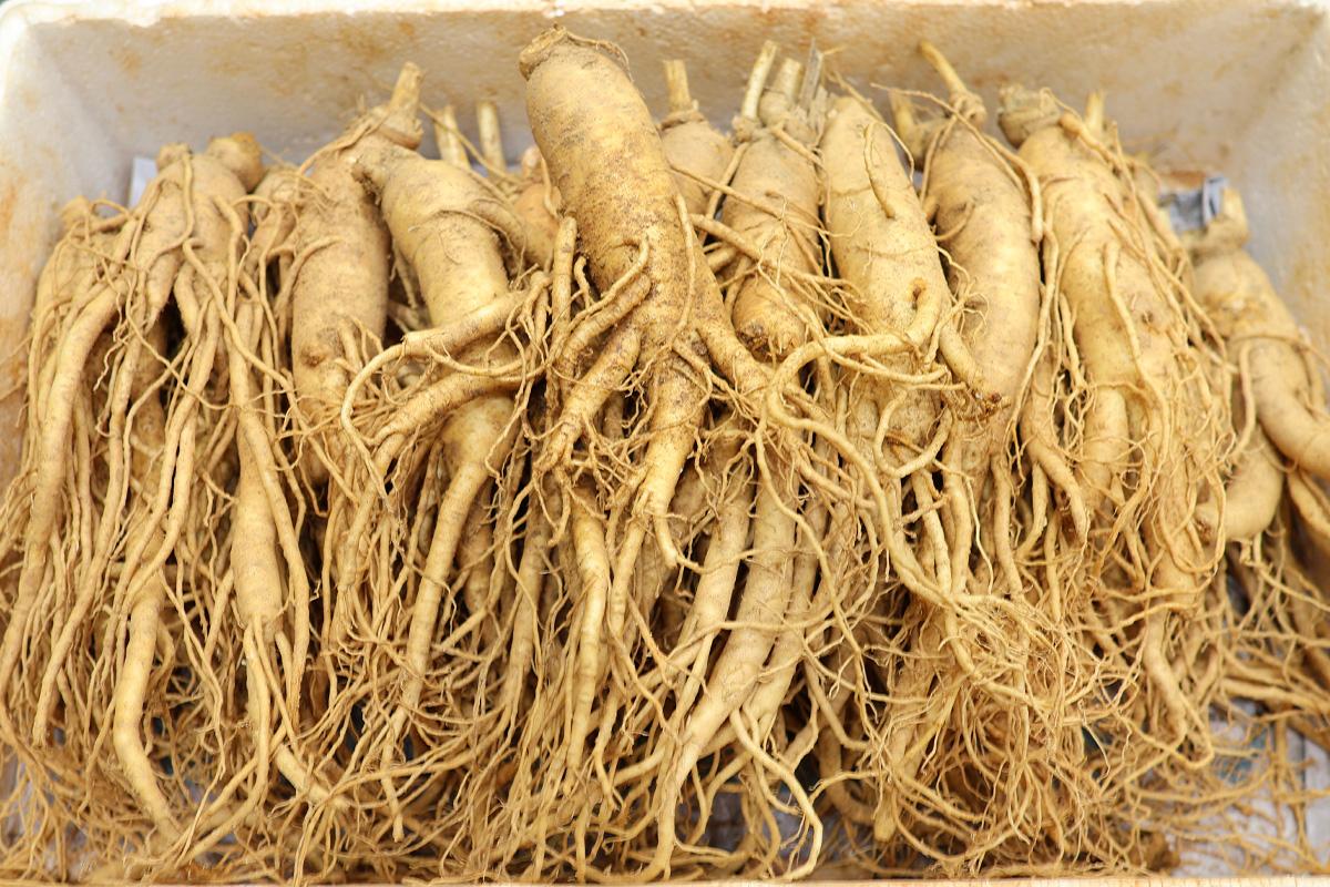 Ampia scelta di snack nostalgici al Mercato di Gwangjang, Corea, risvegliano ricordi d'infanzia con dolcetti rari come gelatine e caramelle.