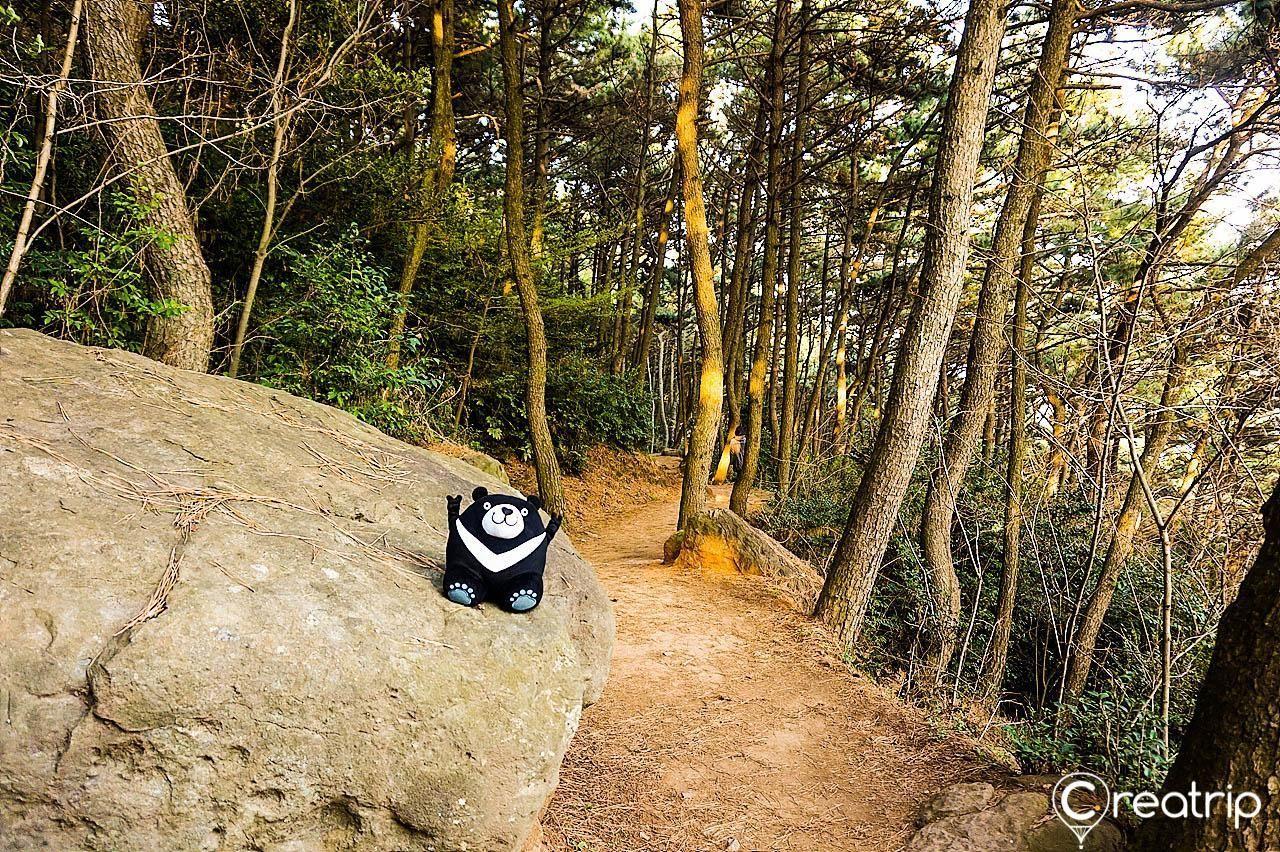 The scenic Moonlight Road in Haeundae, Busan, framed by tall trees and ocean views.