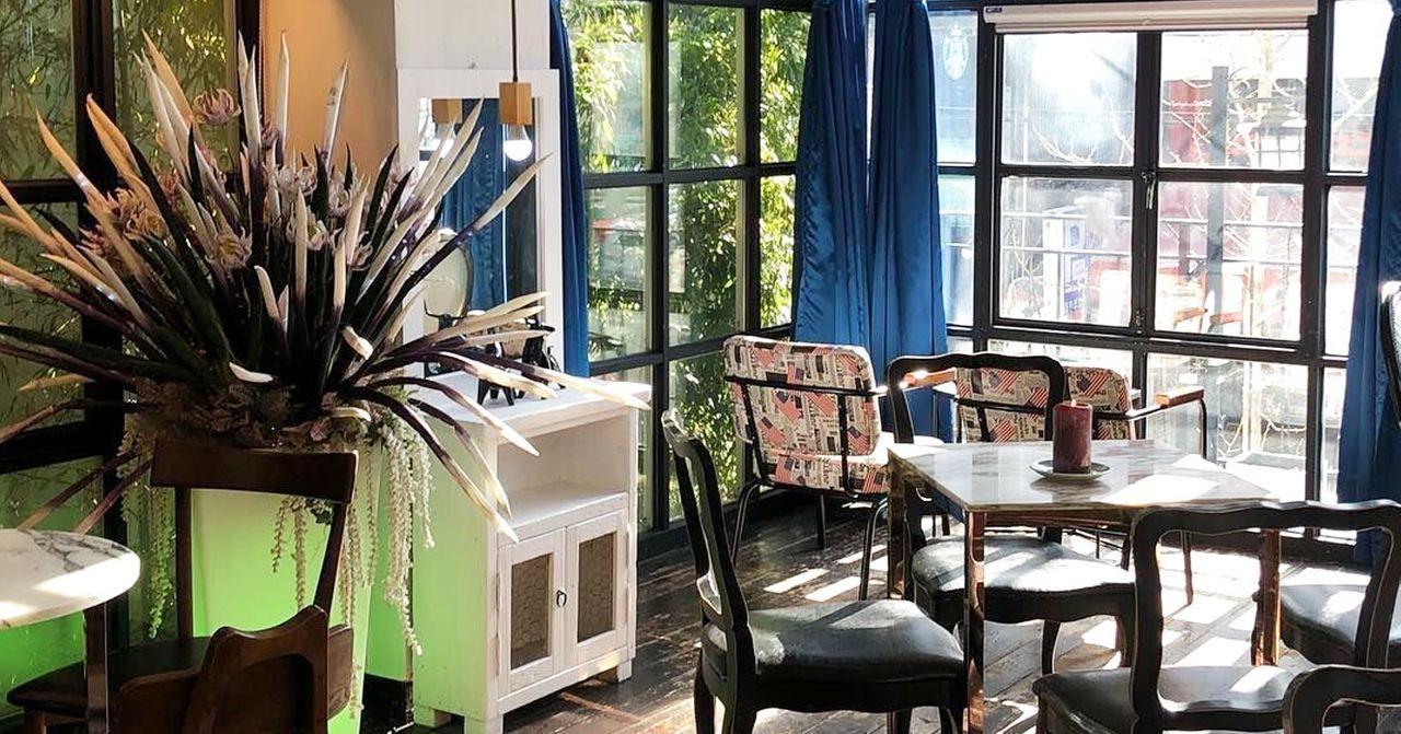 釜山咖啡廳內部，充滿自然光與綠意，營造慵懶悠閒氛圍。