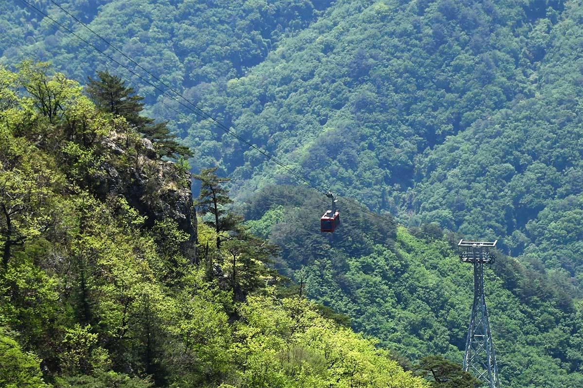 Бякамсан уулын хөндлөн харагдац. Ой модтой уулын үзэсгэлэнт газар нь ногоон ургамалтай дүрслэгдэнэ. Дунд хэсэгт кабель машин явж байгаа.