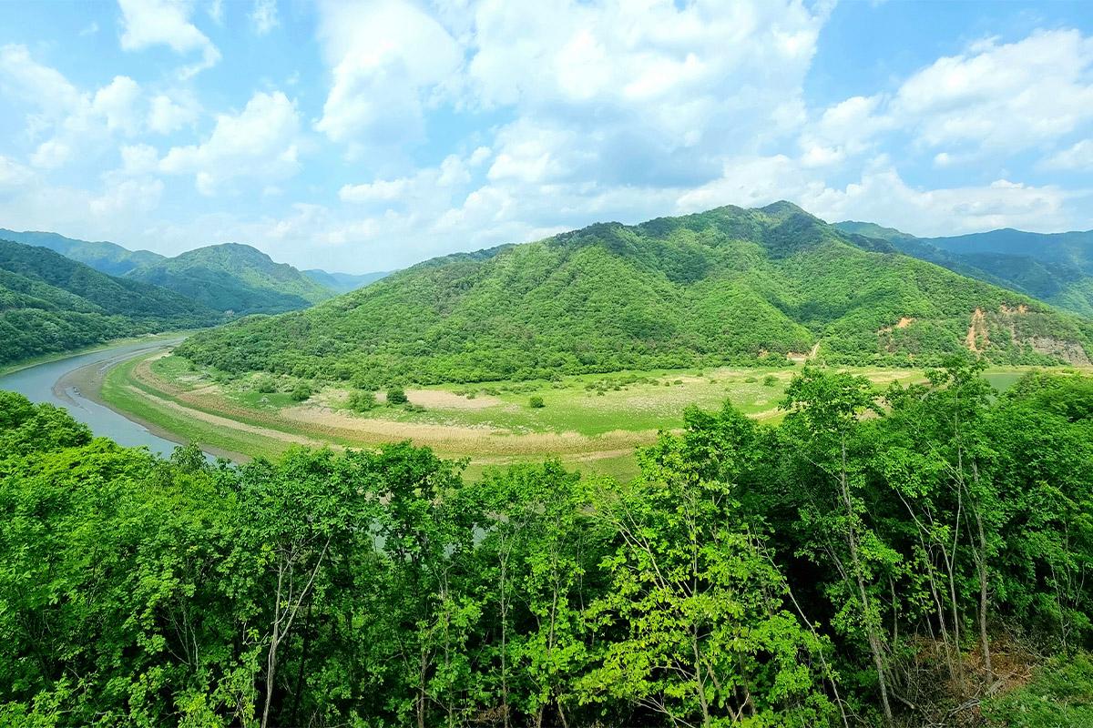 Бякамсан уулын үзэсгэлэнт байгалийн гаднах альпийн бүсийн харагдац. Гэрэл сайтай өдрөөр уулын эргэн тойрны ногоон ойн амархан харагдаж байгаа.