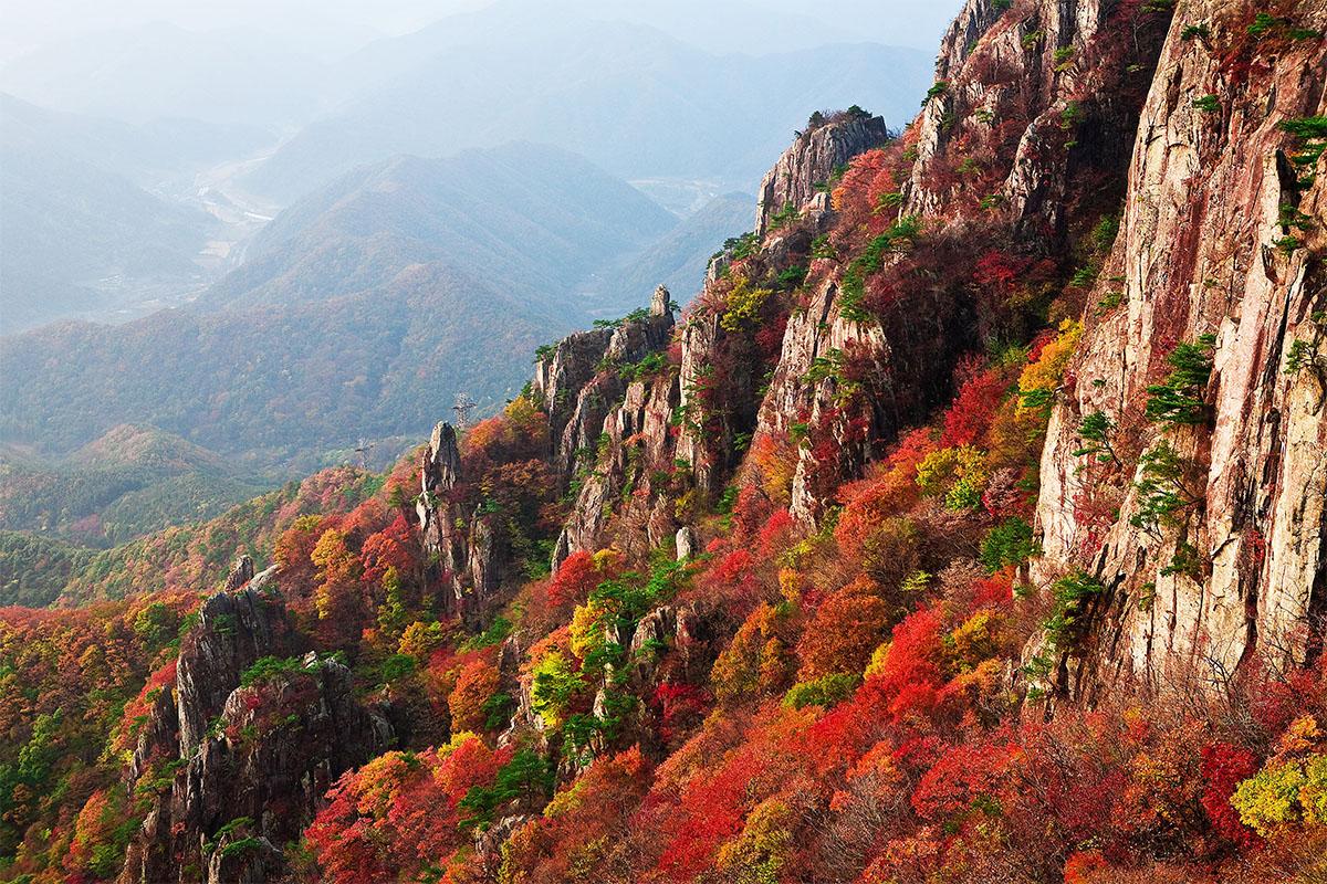 韓国旅行 韓国紅葉 秋 釜山 大邱 蔚山 慶州 八公山 普門亭 大陵苑 梵魚寺 紅葉ランダムツアー