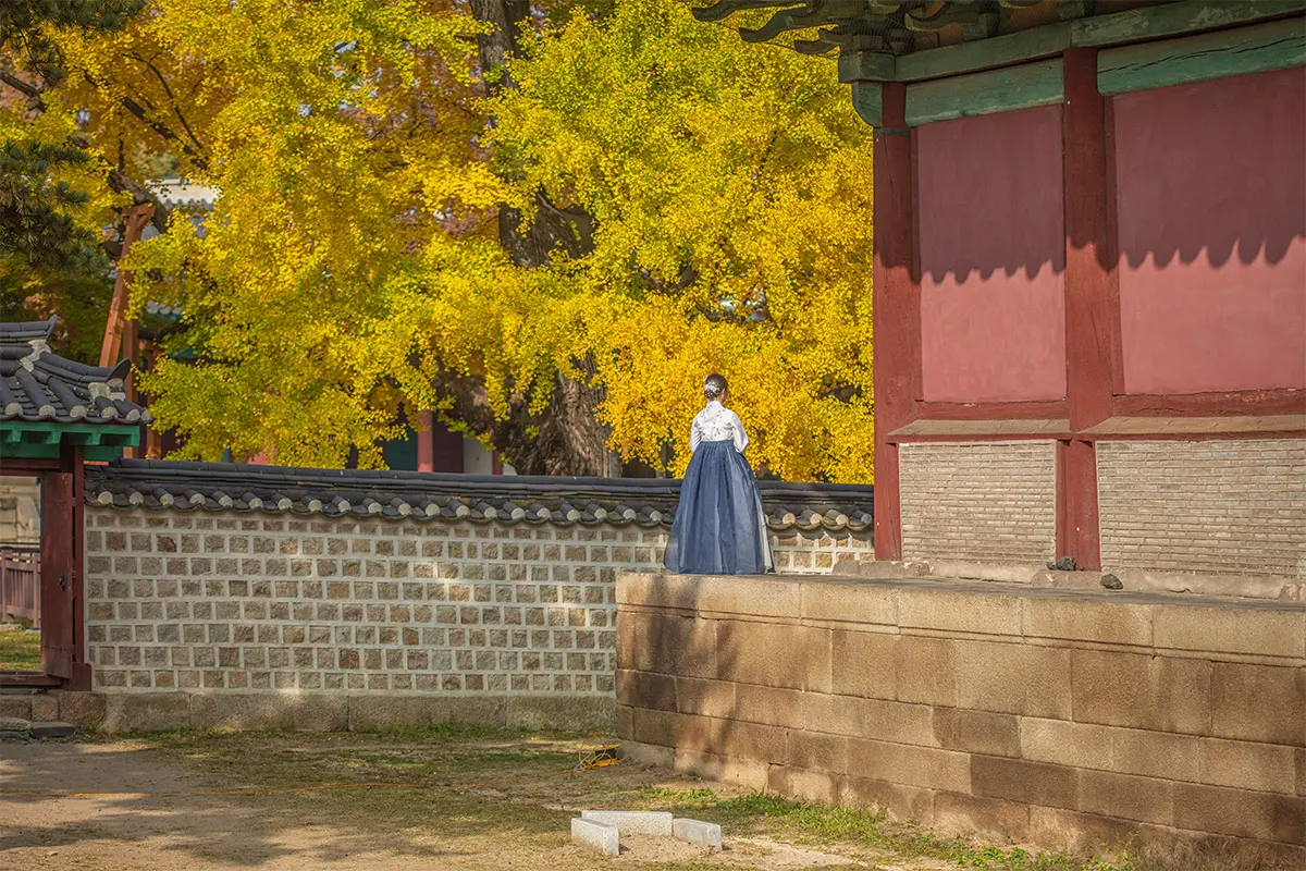 Traditional Korean architecture with a backdrop of yellow autumn foliage.