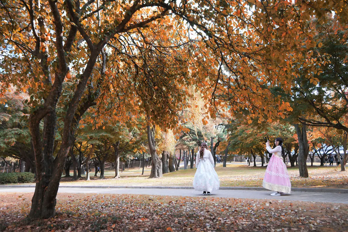 Dramatic cliffs of Palgongsan Mountain with rich autumn colors.