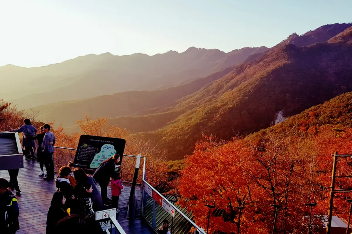 韓国旅行 韓国紅葉 秋 釜山 大邱 蔚山 慶州 八公山 普門亭 大陵苑 梵魚寺 紅葉ランダムツアー