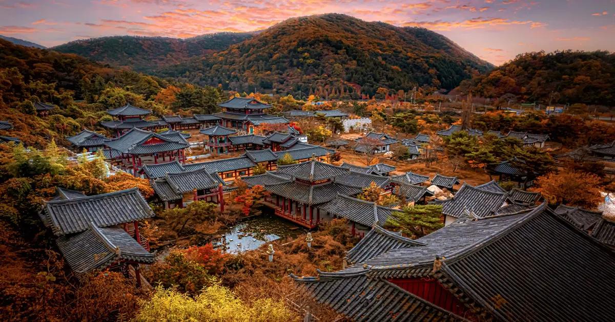 Gyeongju Autumn Foliage Day Tour | Busan Departure