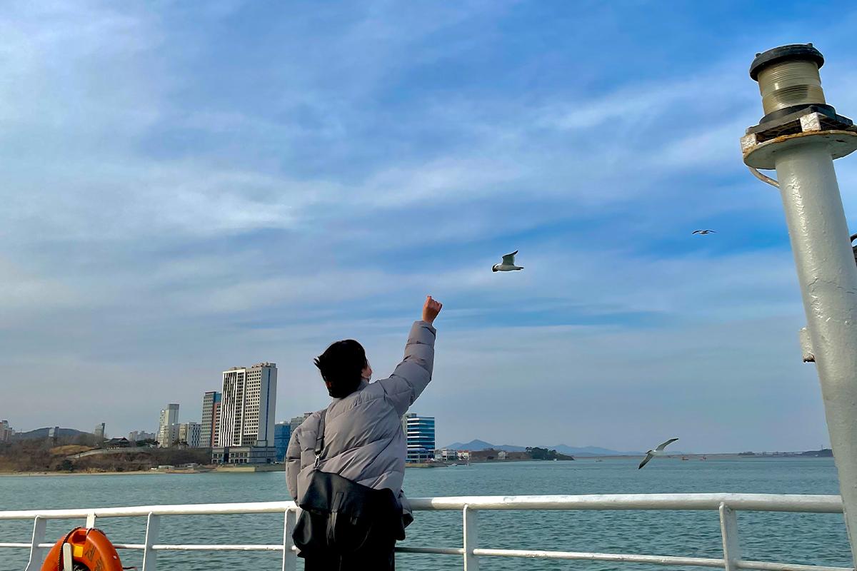 Человек кормит чайку на лодке возле острова Вольмидо, вызывая живую реакцию.