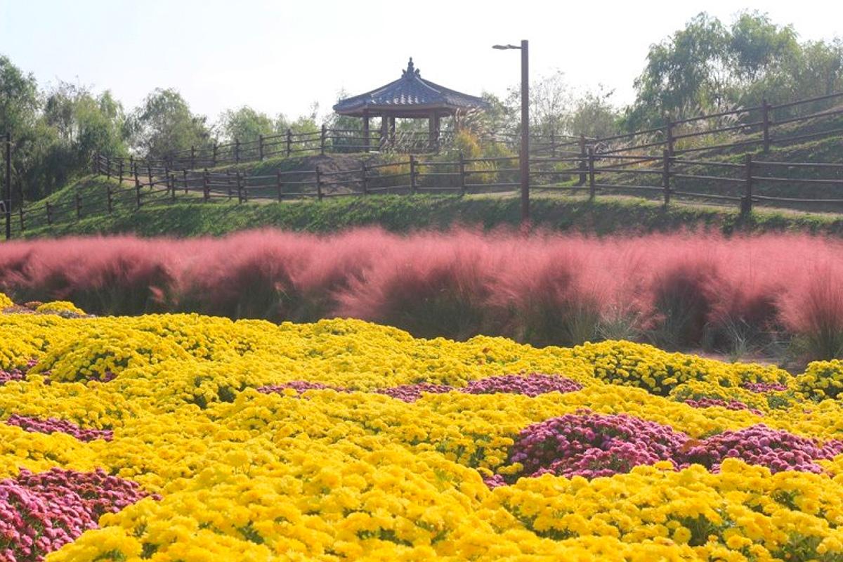 Буйство красок осенних цветов в парке мечты, идеальное место для фотосессий.