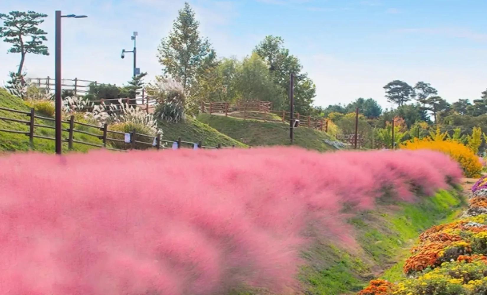 秋の江華島日帰りツアー