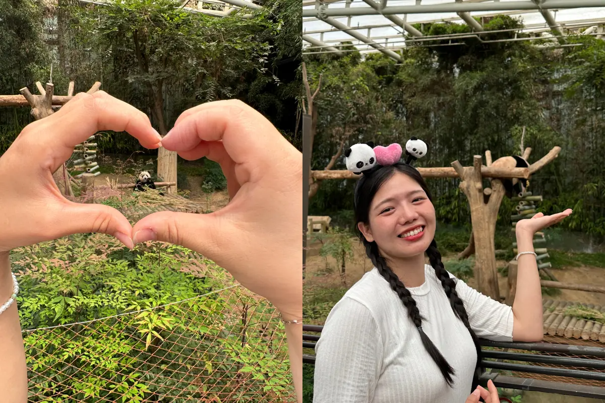 góc chụp ảnh đẹp nhất định phải chụp khi đến Everland tháng 9