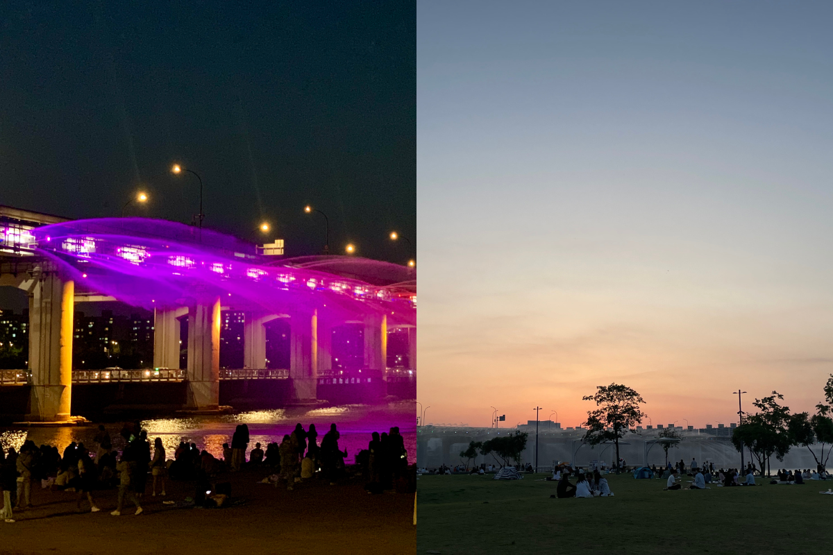 Dã ngoại trên sông Hàn 