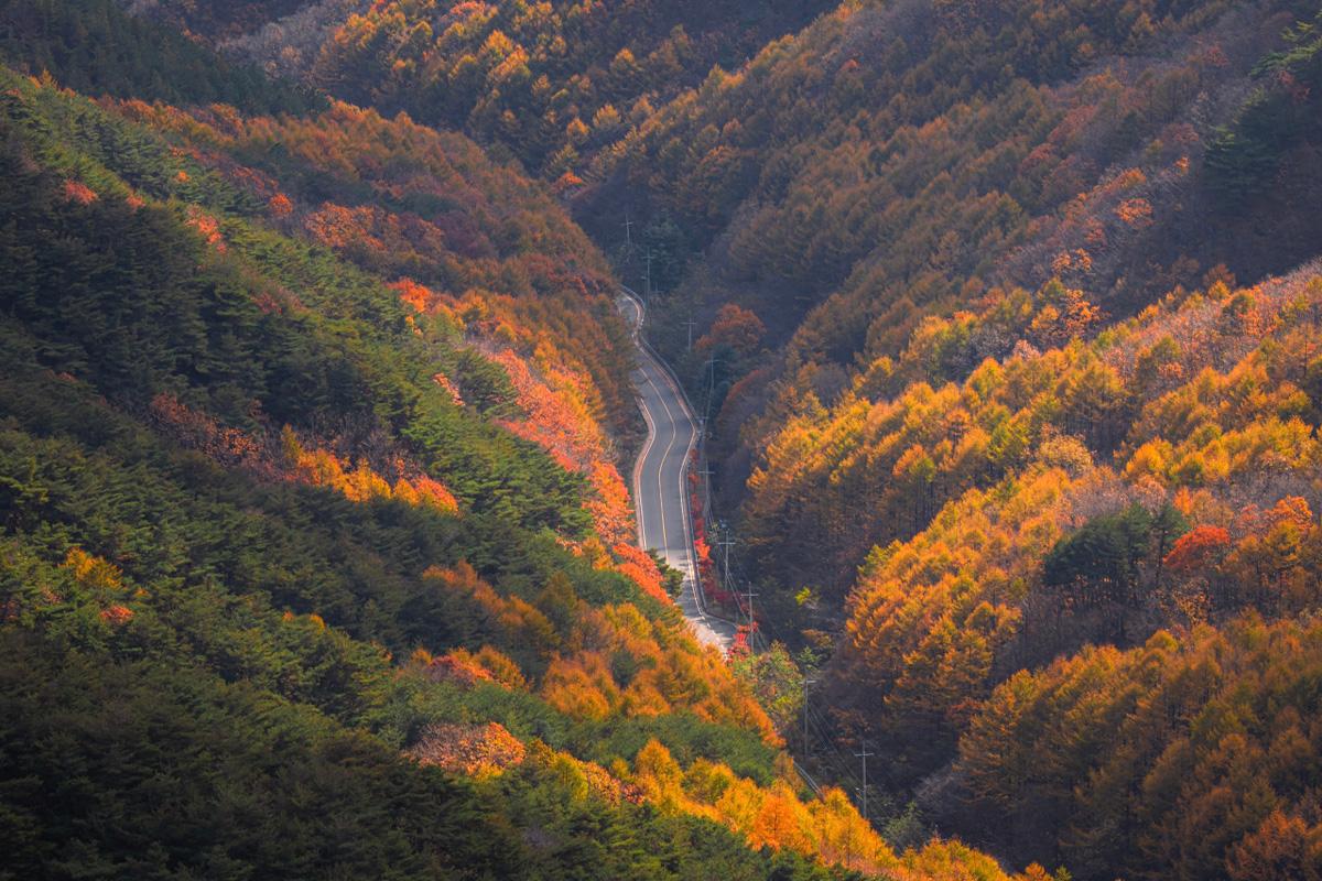 Enchanting view of Donghwasa Temple amidst the autumnal backdrop in Palgongsan Mountain Park.