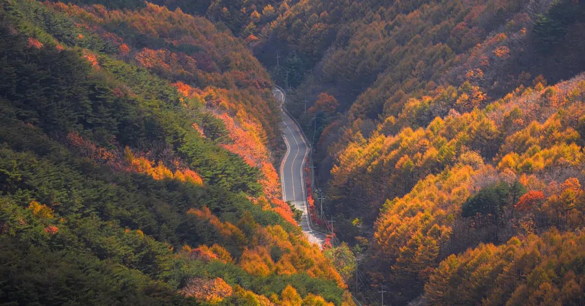 Palgongsan Mountain Fall Foliage Tour (from Busan) | Fall Foliage Day Tour