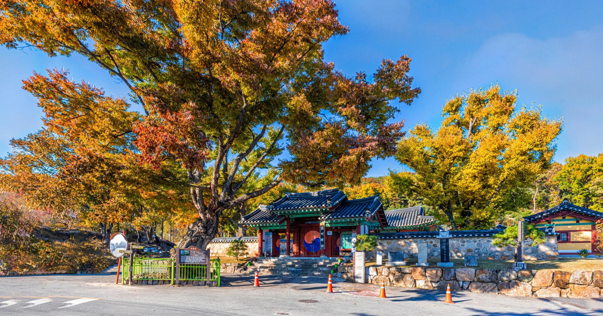Jeonju Hanok Village & Jangtae Mountain/Daedunsan | Fall Foliage Day Tour