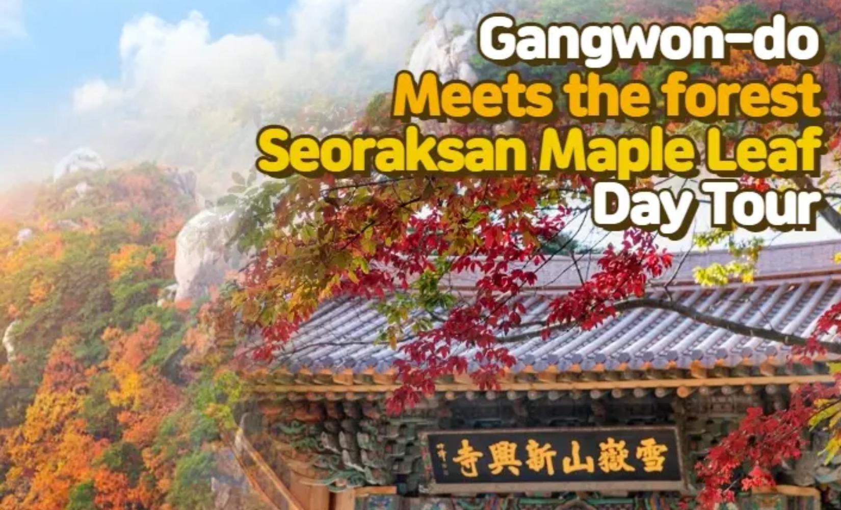代訂 | 雪嶽山&江原世界山林博覽會賞楓之旅（首爾出發）