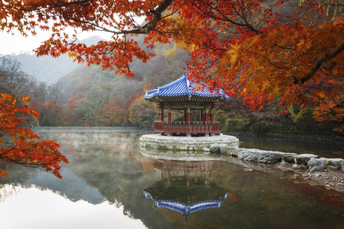 Creatrip: Fall Foliage Tour To Naejangsan Mountian (from Seoul Busan 