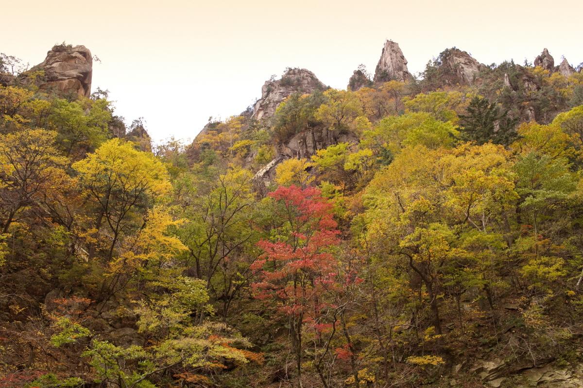Majestic peaks of Seoraksan amidst rich autumn colors, perfect for fall sightseeing.