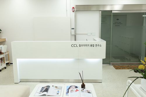 韓國Personal Colour 韓國Personal Color 韓國個人色彩診斷 聖水 CCL色彩圖像融合研究所 價錢 服務 預約