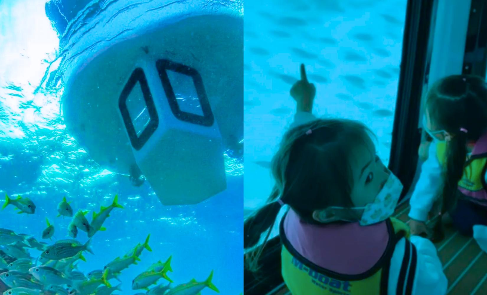 Trải nghiệm tàu bán ngầm Jeju Penguin khám phá đại dương cực đẹp tại đảo Jeju