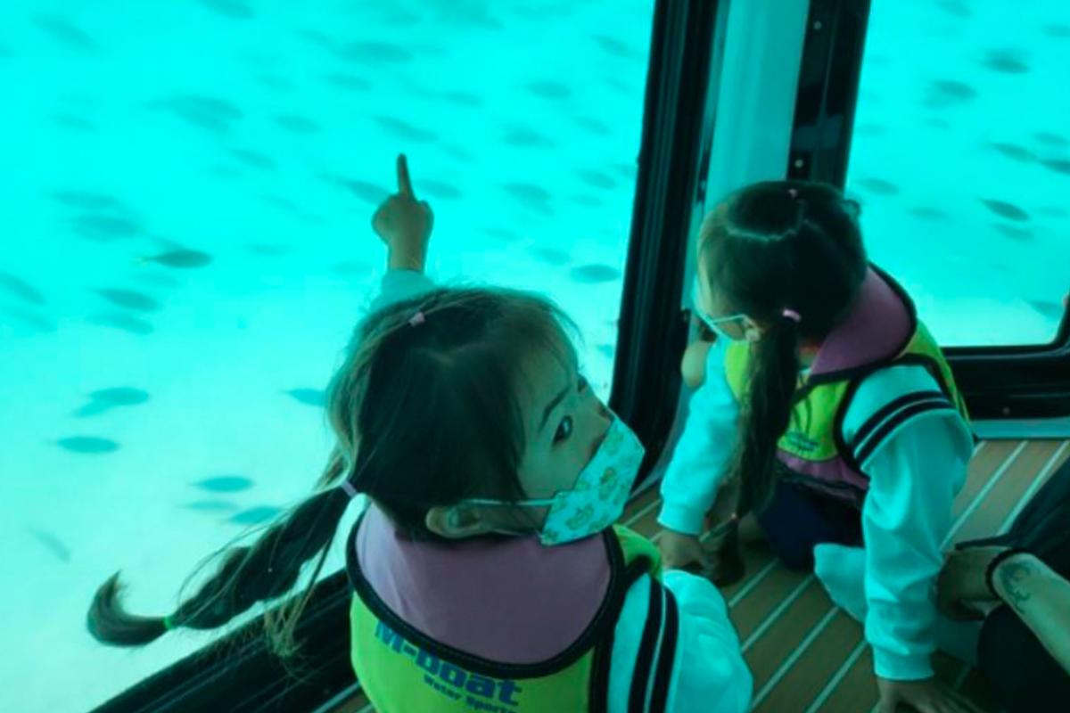 韓國旅行 濟州旅行 濟州水上活動 企鵝半潛艇 透明獨木舟 浮潛 槳板 價錢 預約