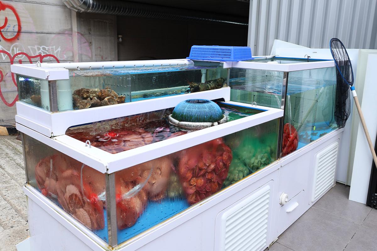 韓國美食 首爾美食 弘大餐廳 韓國燒貝殼 韓國烤貝殼 貝殼 海鮮 弘大 夏威夷烤貝殼 Hawaii Shellfish 價錢 menu 預約