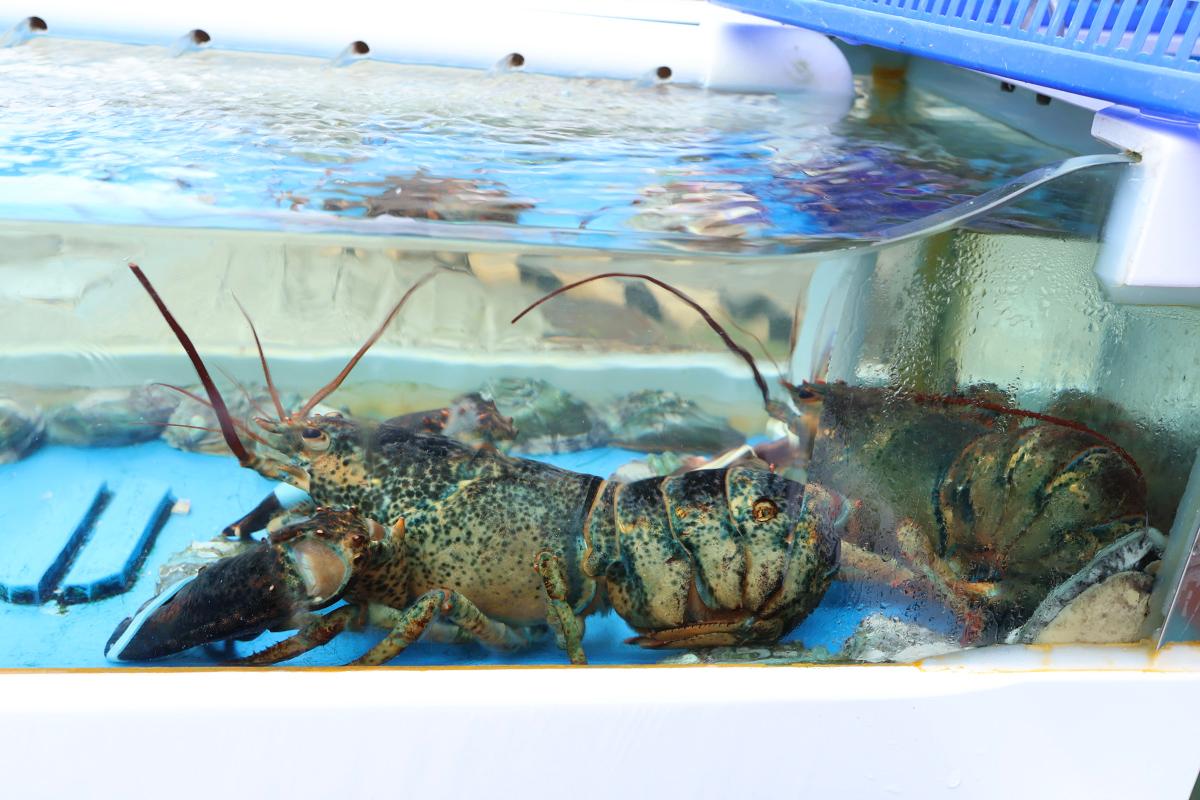 韓國美食 首爾美食 弘大餐廳 韓國燒貝殼 韓國烤貝殼 貝殼 海鮮 弘大 夏威夷烤貝殼 Hawaii Shellfish 價錢 menu 預約