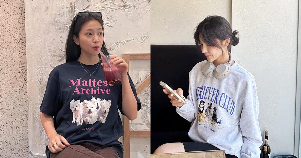 喜欢小狗狗的各位看过来！韩国流行狗狗单品推荐