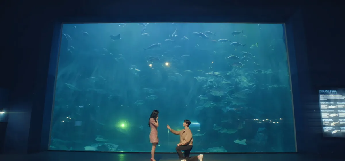 在韩国海洋世界水族馆的一位游客在巨大海洋鱼缸前做出心形手势。背景是满满的水生动物，营造出动人的画面。