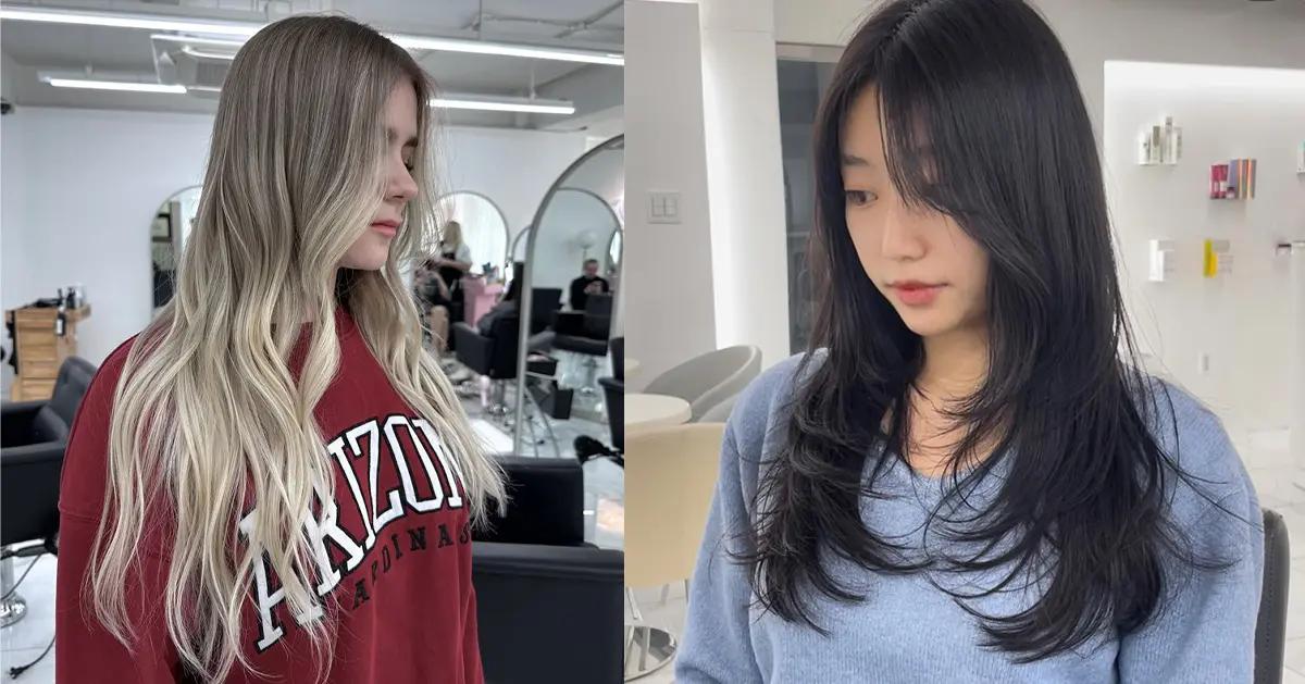 The Day's Hair | Hongdae Hair Salon Recommendation