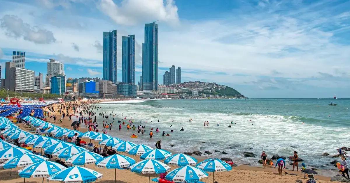 仁川機場去釜山交通攻略