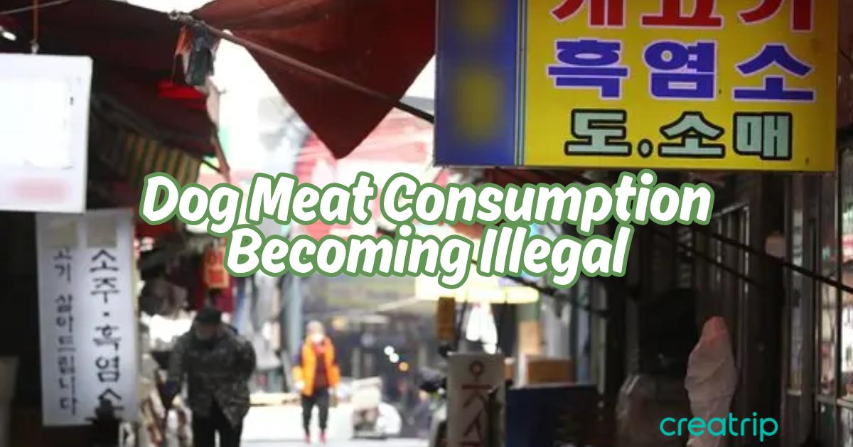 韓國正式立法禁止食狗肉