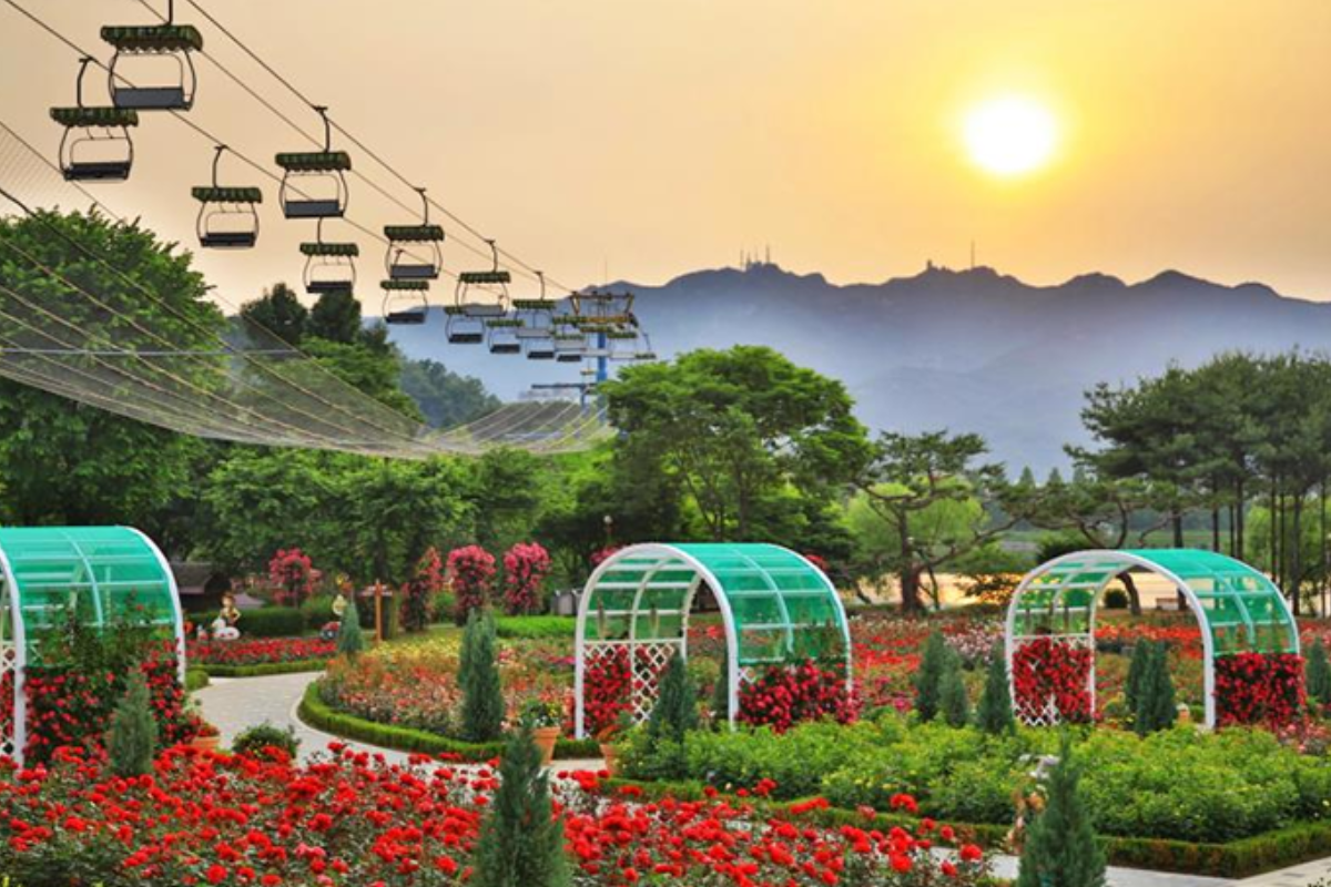 韓國交通卡 首爾交通 氣候同行卡 Climate Card 首爾地鐵 首爾巴士 首爾公共交通工具無限乘車券 外國人氣候同行卡 短期氣候同行卡 遊客氣候同行卡 購買地點 價錢 使用方法