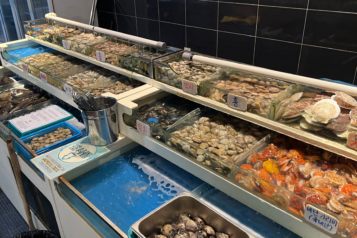 首爾 烤貝類 吃到飽推薦 2025 江南區 蠶室 烤貝吃到飽 無限任食 吃