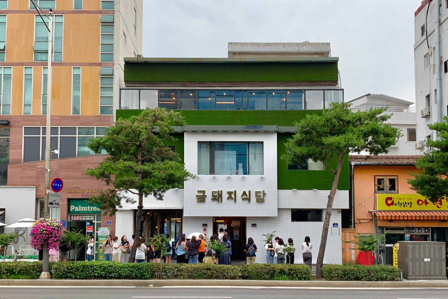 2025年最新、2025最新、韓国、韓国カフェ、韓国旅行、渡韓、渡韓情報、韓国情報、韓国旅行情報、最新渡韓情報、最新渡韓、最新韓国旅行情報、最新韓国情報、最新韓国、韓国ひとり旅、おひとり様韓国、韓国料理、韓国グルメ、最新、韓国焼肉、韓国可愛いカフェ、韓国オシャレカフェ、韓国おしゃれ、クッタン、トッコギ506、ケバン食堂、カンジャンケジャン、真味食堂、クムテジ食堂、月火コギ、デリョンチブ、オン6.5、キョチョン、キョチョン筆房、肉地図、肉マップ、LA CROUTE、JO & DAWSON、ANTIQUE COFFEE、GLUU GLUU、 Corned e pepe、Pachamama Bakery、cafe olear、ボーイング、飛行機カフェ、RAIN REPORT CROISSANT、雨カフェ、新カフェマップ、新カフェ地図、映え写真が撮れるカフェマップ、映え写真カフェマップ、映え写真が撮れるカフェ地図、映え写真カフェ地図