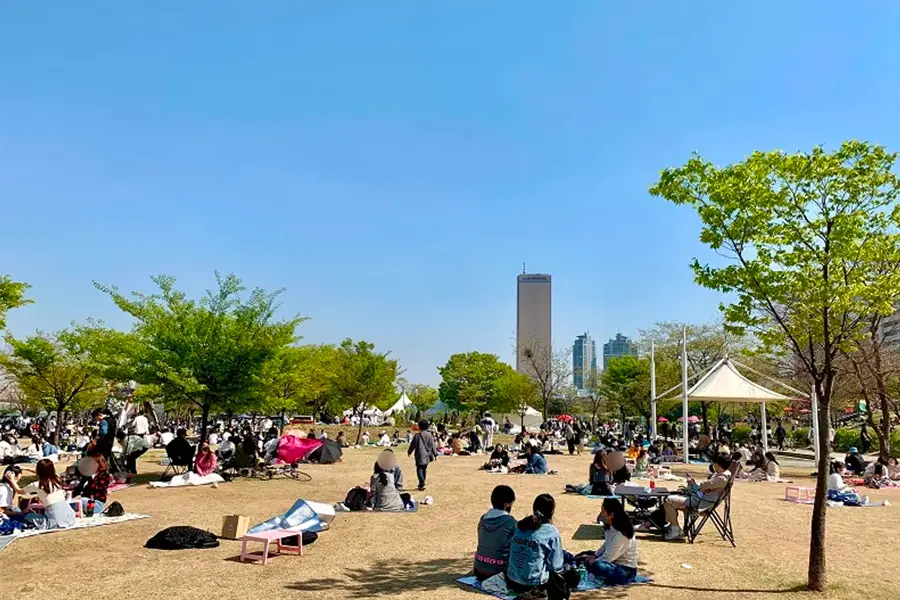 韓國旅行 首爾旅行 首爾漢江 漢江公園 漢江水上巴士 漢江交通工具 韓國交通工具 價錢 路線