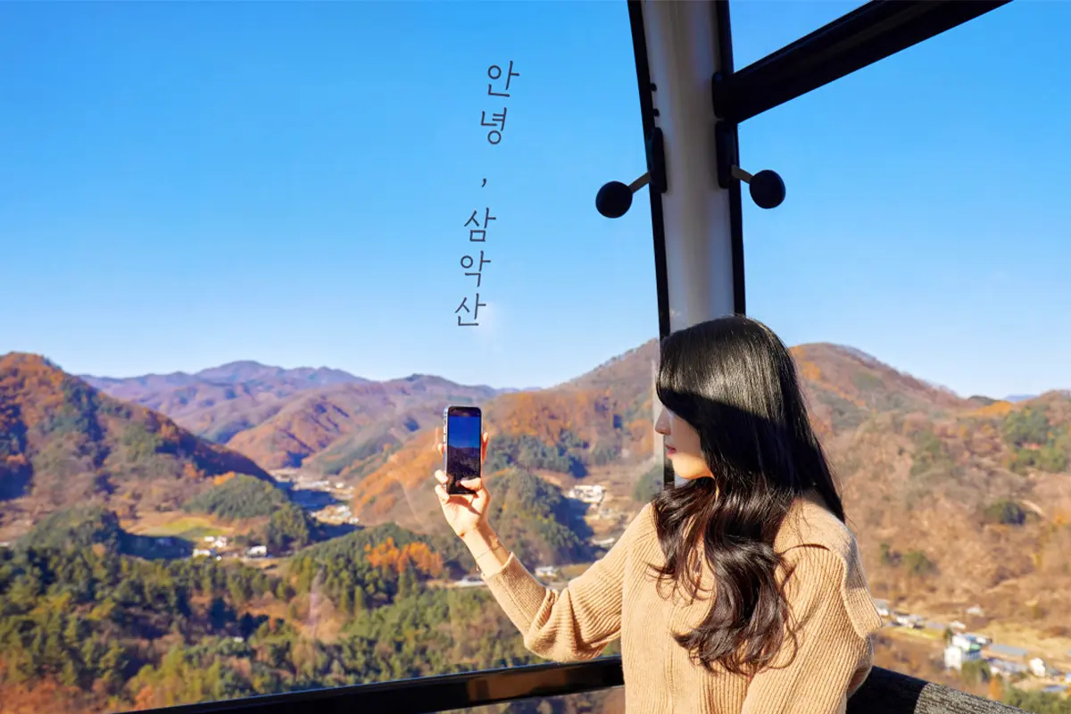 首爾南怡島 一日遊 南怡島一日遊推薦 南怡島團 一日團 推薦 便宜比價 2025