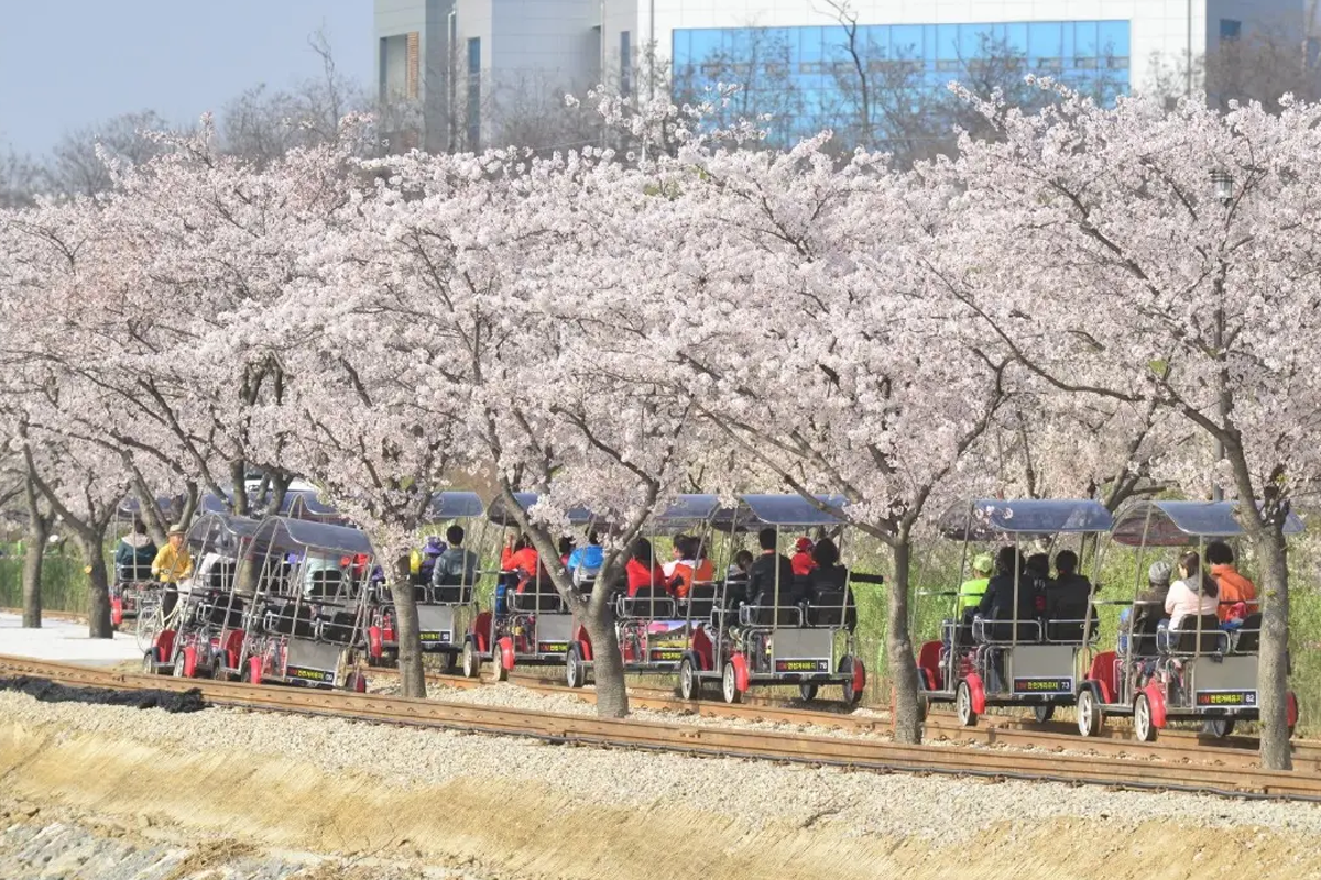 首爾南怡島 一日遊 南怡島一日遊推薦 南怡島團 一日團 推薦 便宜比價 2025