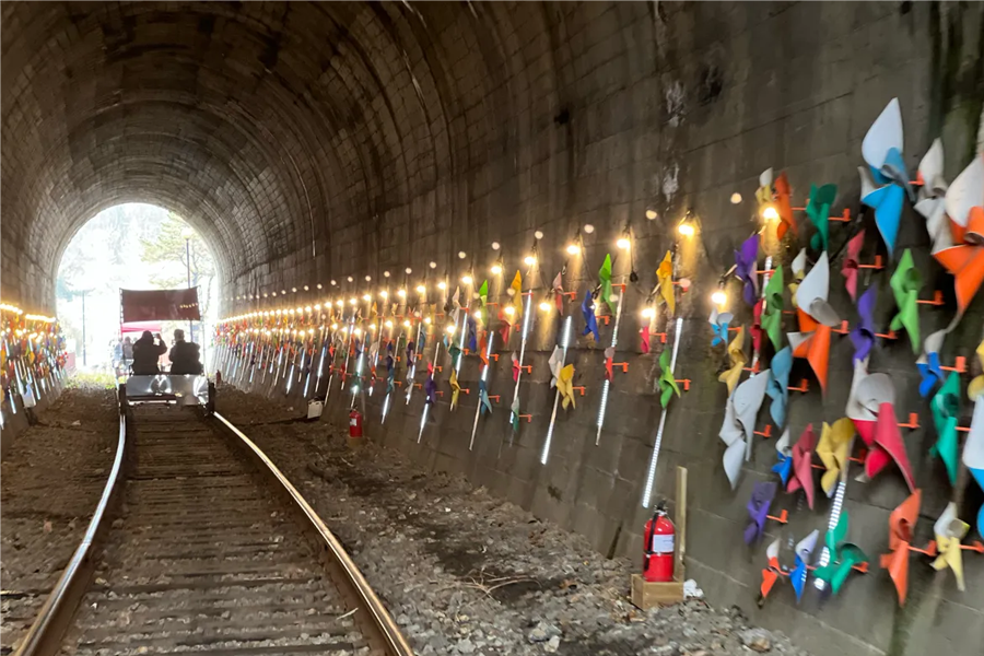 首爾南怡島 一日遊 南怡島一日遊推薦 南怡島團 一日團 推薦 便宜比價 2025